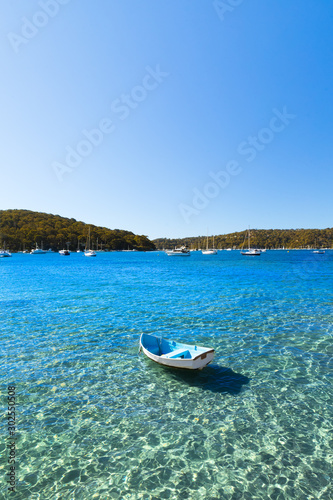 A small blue and white wooden row boat anchored in shallow calm water on a sunny summer day. Vertical portrait image with copy space.