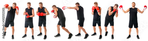 Strong male boxer on white background