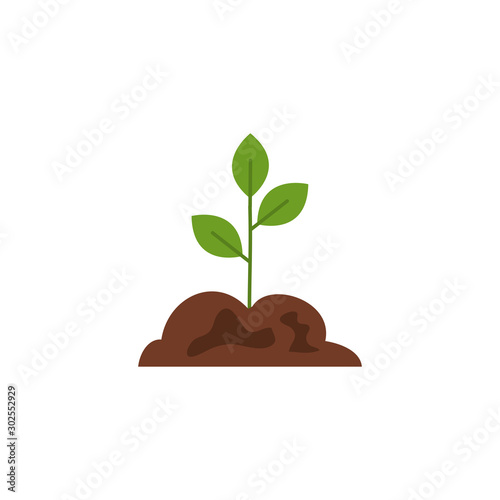 Isolated leaves icon flat design
