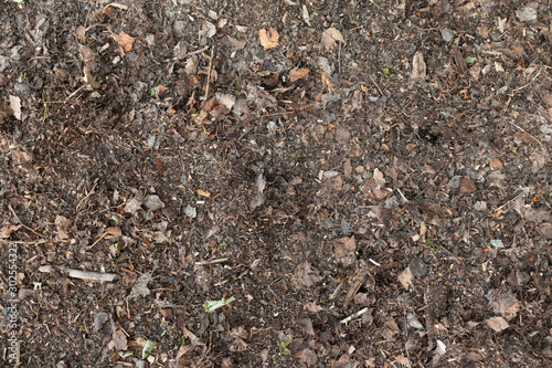 Dirty ground texture from the woods