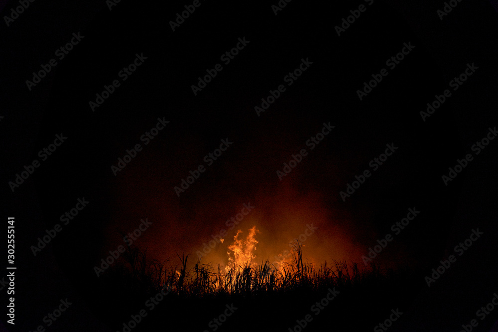 Orange flames pierce the darkness, as a sugarcane field burns at night. 'Burning the trash' - first stage of the harvesting process - is a common spectacle in the Clarence Valley growing region.