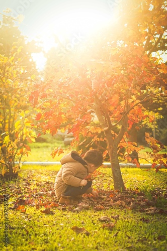 Sunny autumn day. photo