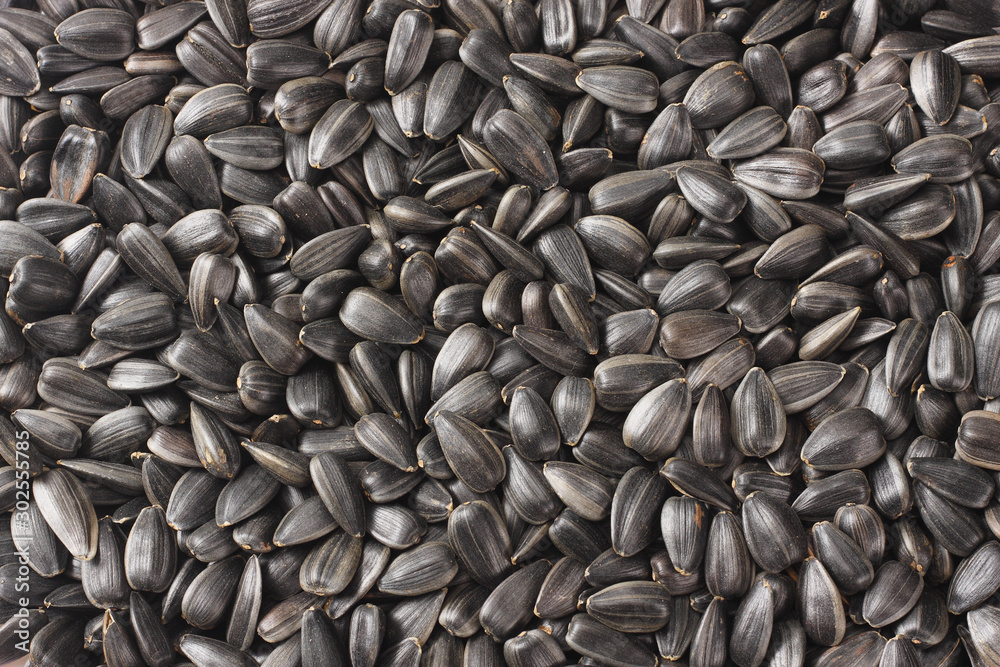 sunflower seeds texture background. top view sunflower seeds texture background. top view