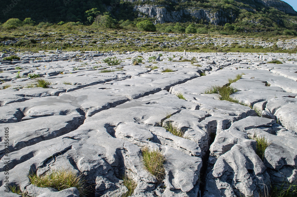 Naklejka premium Liemstone pavement in the Burren, Ireland