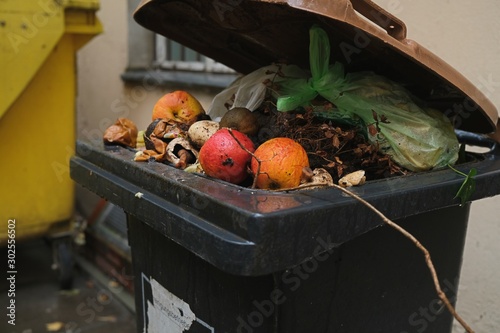 Organic waste bin filled with kitchen waste 01