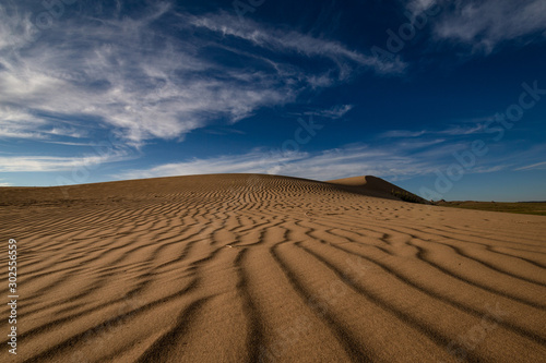 sand dunes in the desert