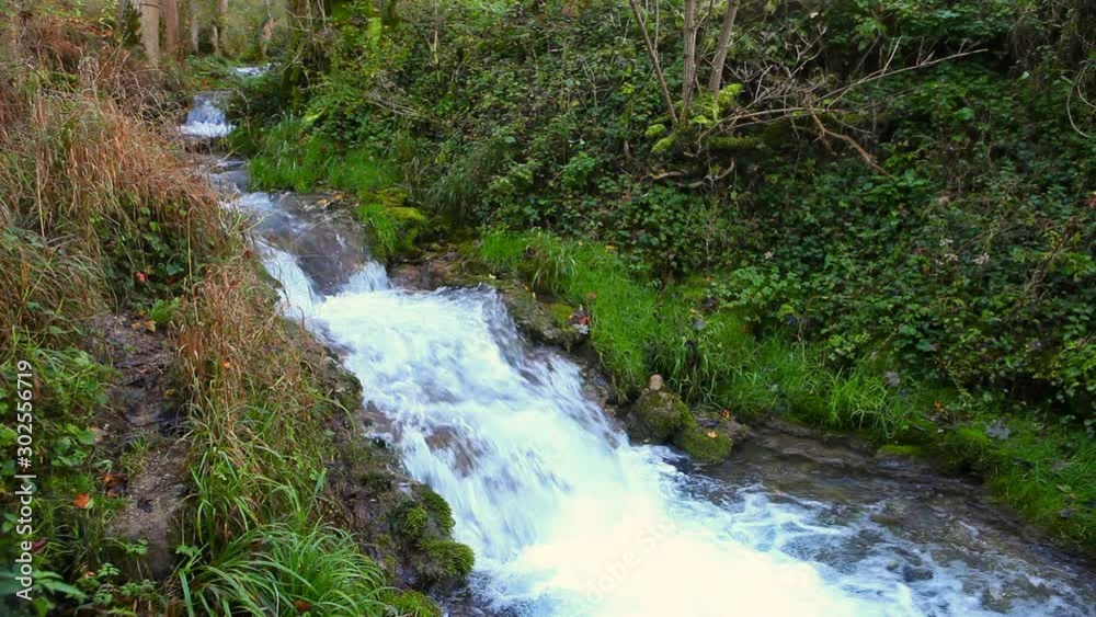 mountain stream in autumn forest woods at Urach schwäbische alb germany mountain stream in autumn forest woods at Urach schwäbische alb germany