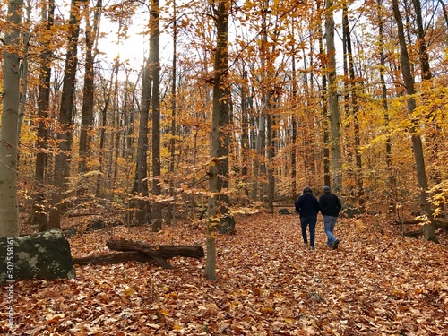 couple walking in fall autumn woods