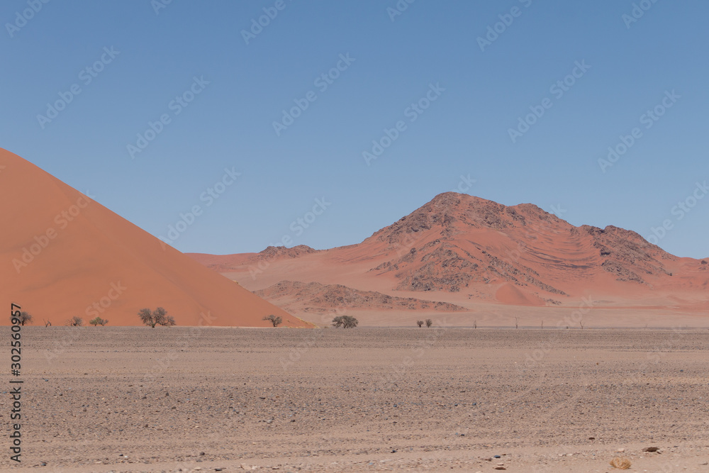 Sand dunes in the Namib Naukluft Park, Namibia, Africa