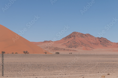 Sand dunes in the Namib Naukluft Park  Namibia  Africa