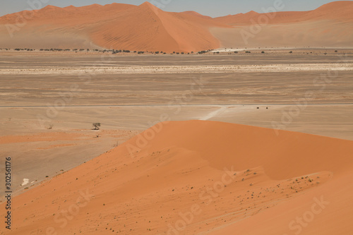 Dune 45  Namib Desert  Namibia  Africa