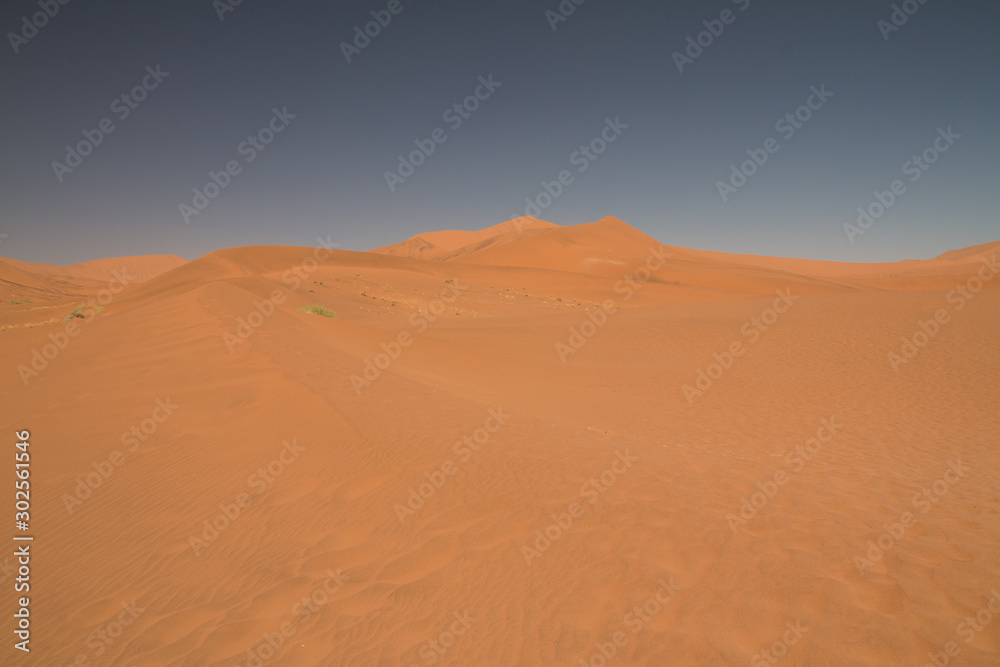 Sand dunes in Sossusvlei, Namib Desert, Namibia, Africa