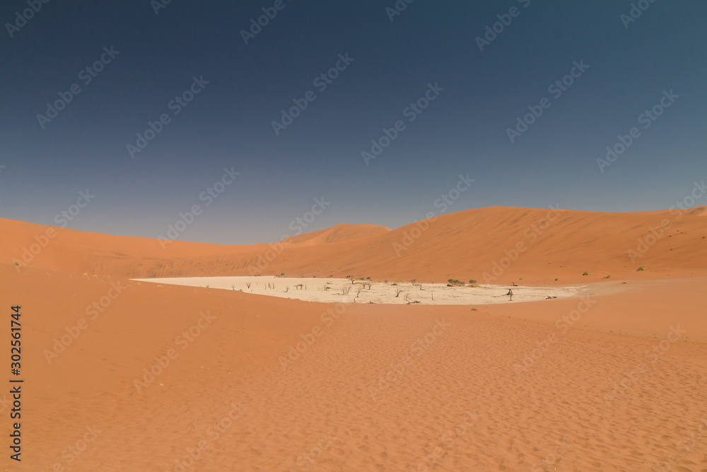 Dead camel thorn trees, Deadvlei, Namib Desert, Namibia Dead camel thorn trees, Deadvlei, Namib Desert, Namibia