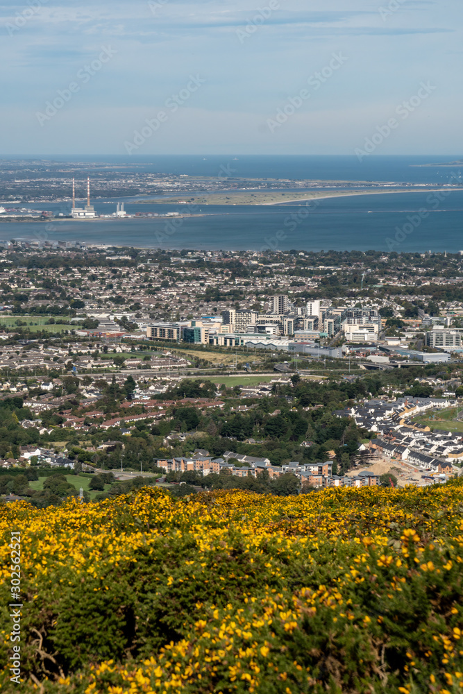 Stunning view of Dublin city and port from Ticknock, 3rock, Wicklow mountains. Yellow and green plants in foreground Stunning view of Dublin city and port from Ticknock, 3rock, Wicklow mountains. Yellow and green plants in foreground