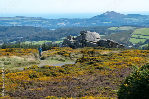 Bike rider in Ticknock, 3rock, Wicklow mountains. Yellow and green plants in foreground photo
