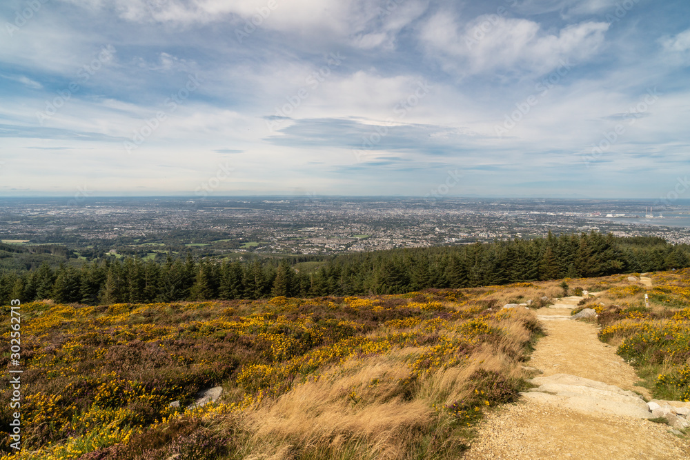 Stunning view of Dublin city and port from Ticknock, 3rock, Wicklow mountains. Path, yellow and green plants in foreground