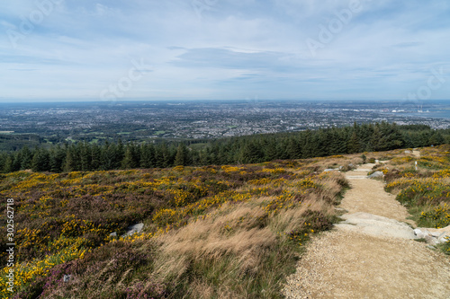 Stunning view of Dublin city and port from Ticknock, 3rock, Wicklow mountains. Path, yellow and green plants in foreground photo