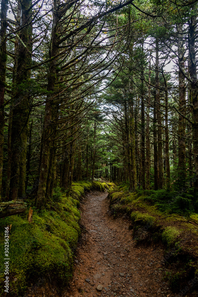 Great Smoky Mountains National Park Great Smoky Mountains National Park