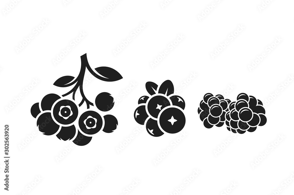 Fresh berries. Isolated blueberry cranberry and blackberry  - obrazy, fototapety, plakaty 