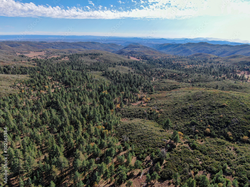 Aerial view of pine in Pine Valley during dry fall season, San Diego Country, California, USA