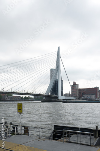 Erasmus Bridge in Rotterdam  Netherlands