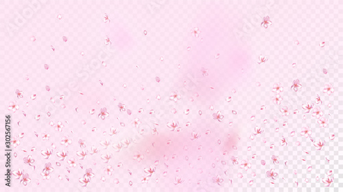 Nice Sakura Blossom Isolated Vector. Feminine Showering 3d Petals Wedding Paper. Japanese Blurred Flowers Illustration. Valentine, Mother's Day Spring Nice Sakura Blossom Isolated on Rose