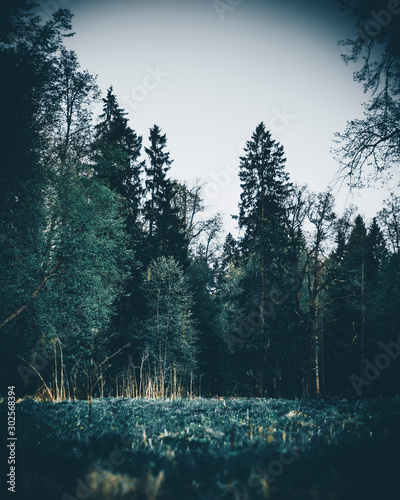 landscape