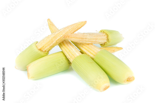 baby corn isolated
