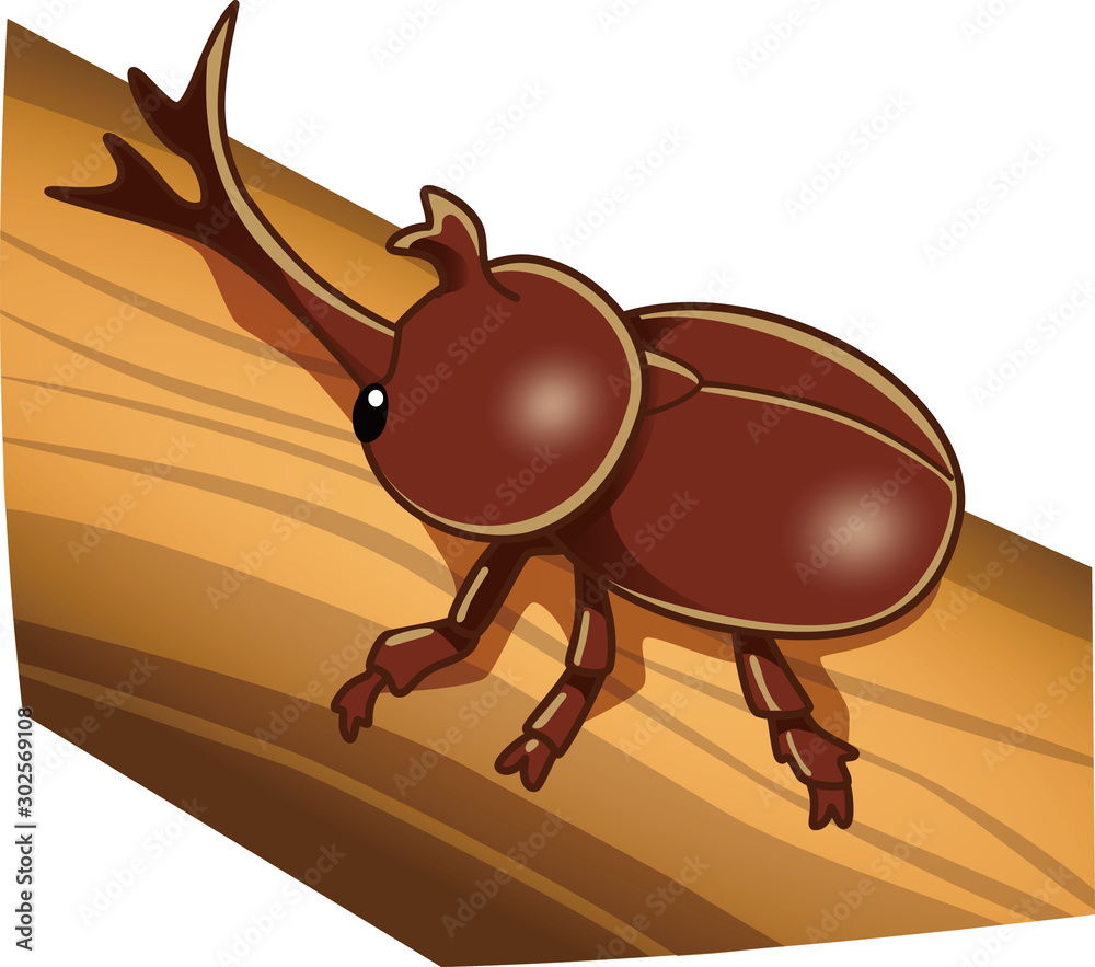 カブトムシのイラスト Stock Vector Adobe Stock