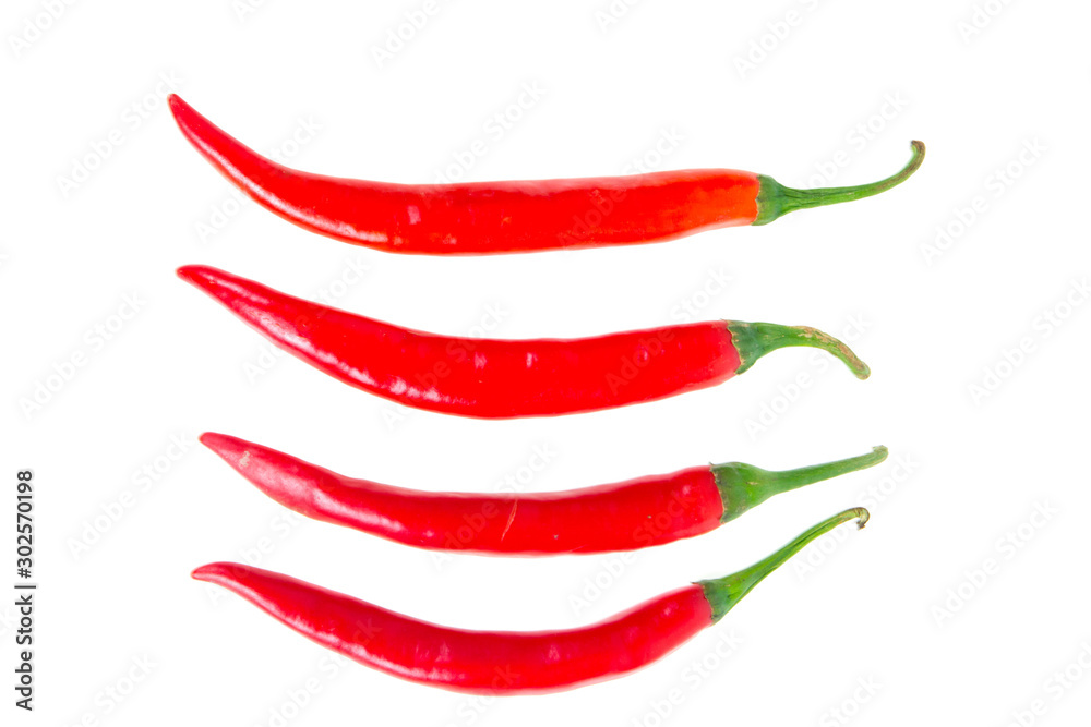 chilli isolated chilli isolated