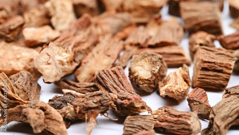side view herb medicine Danshen or Salviae Miltiorrhizae Radix et Rhizoma or Dan - shen Root rotate and pause side view herb medicine Danshen or Salviae Miltiorrhizae Radix et Rhizoma or Dan - shen Root rotate and pause