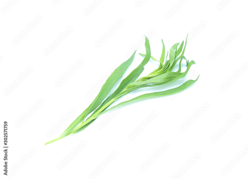 Tarragon herbs isolated on white Tarragon herbs isolated on white