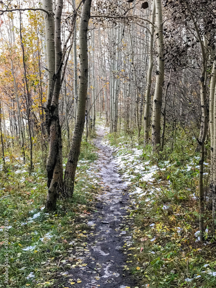 Fototapeta premium Pathways in Nose Hill Calgary Alberta