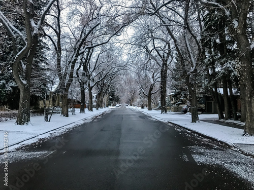 Winter scenery in Calgary Alberta photo