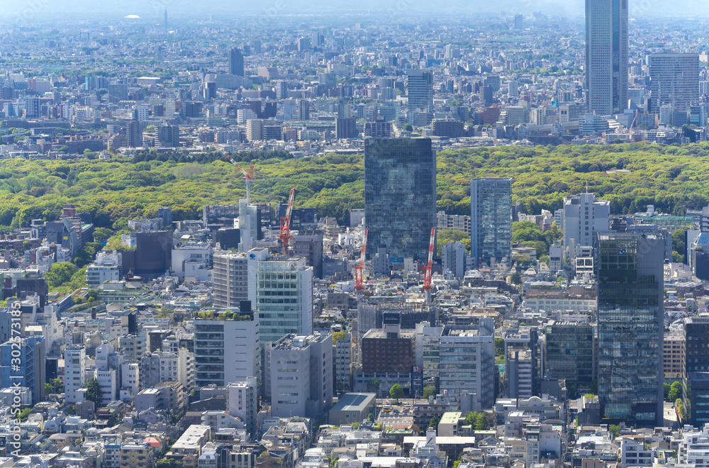 東京風景　2019　春　新緑　青空　六本木から望む原宿方面