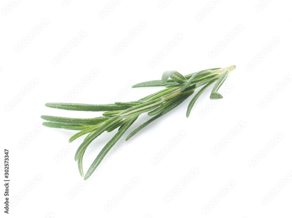 Fototapeta premium rosemary isolated on white background