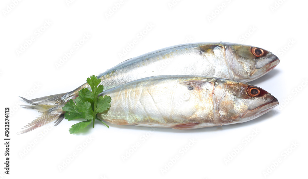 Fresh mackerel isolated on white background Fresh mackerel isolated on white background