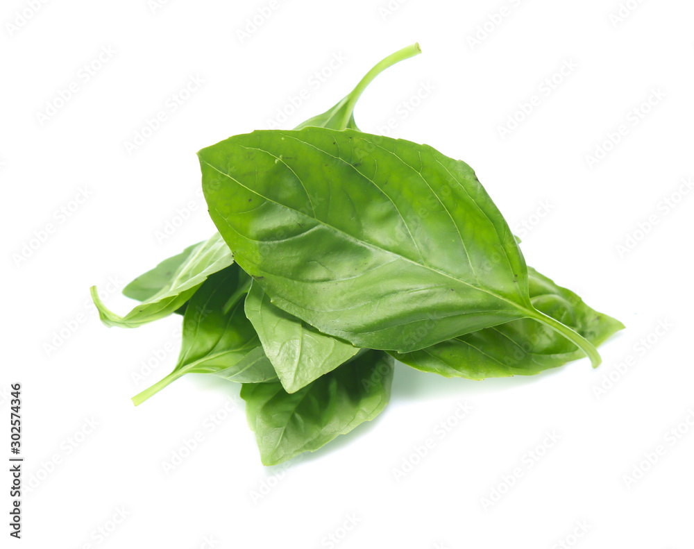 Close up green basil herb leaves isolated on white background. Close up green basil herb leaves isolated on white background.