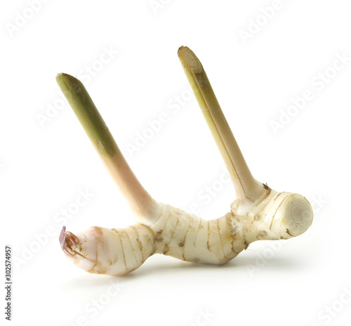 ginger thai ingredient on white background