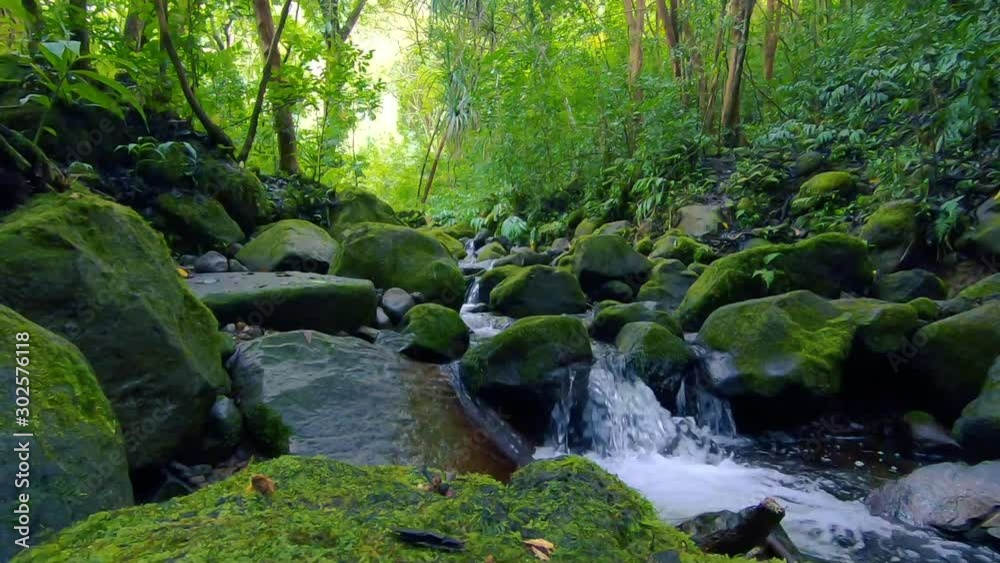 Rocky Stream in the Jungle in Kaneohe, Oahu, Hawaii Rocky Stream in the Jungle in Kaneohe, Oahu, Hawaii
