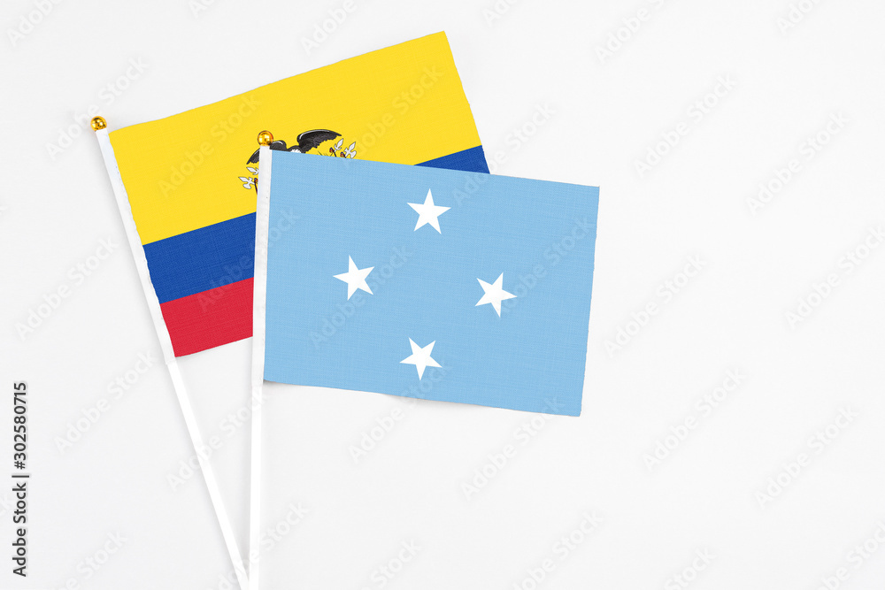 Micronesia and Ecuador stick flags on white background. High quality fabric, miniature national flag. Peaceful global concept.White floor for copy space. Micronesia and Ecuador stick flags on white background. High quality fabric, miniature national flag. Peaceful global concept.White floor for copy space.