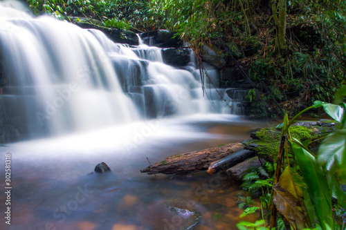 waterfall in forest