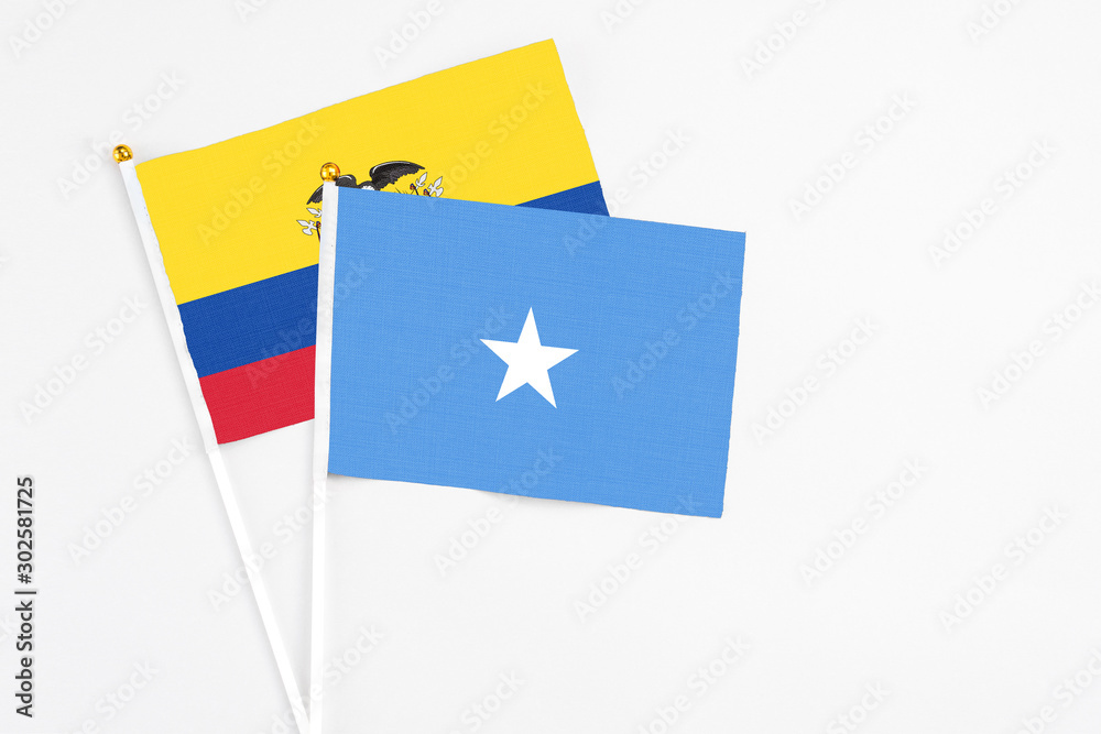 Somalia and Ecuador stick flags on white background. High quality fabric, miniature national flag. Peaceful global concept.White floor for copy space. Somalia and Ecuador stick flags on white background. High quality fabric, miniature national flag. Peaceful global concept.White floor for copy space.