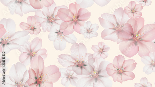 Floral seamless pattern, Somei Yoshino sakura flowers on light orange