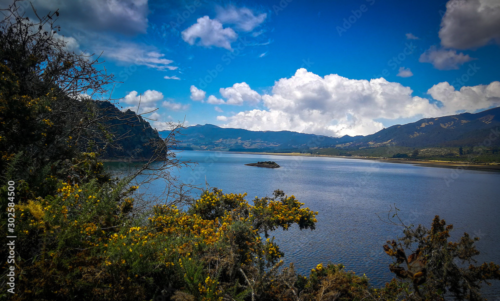 Fototapeta premium sdr