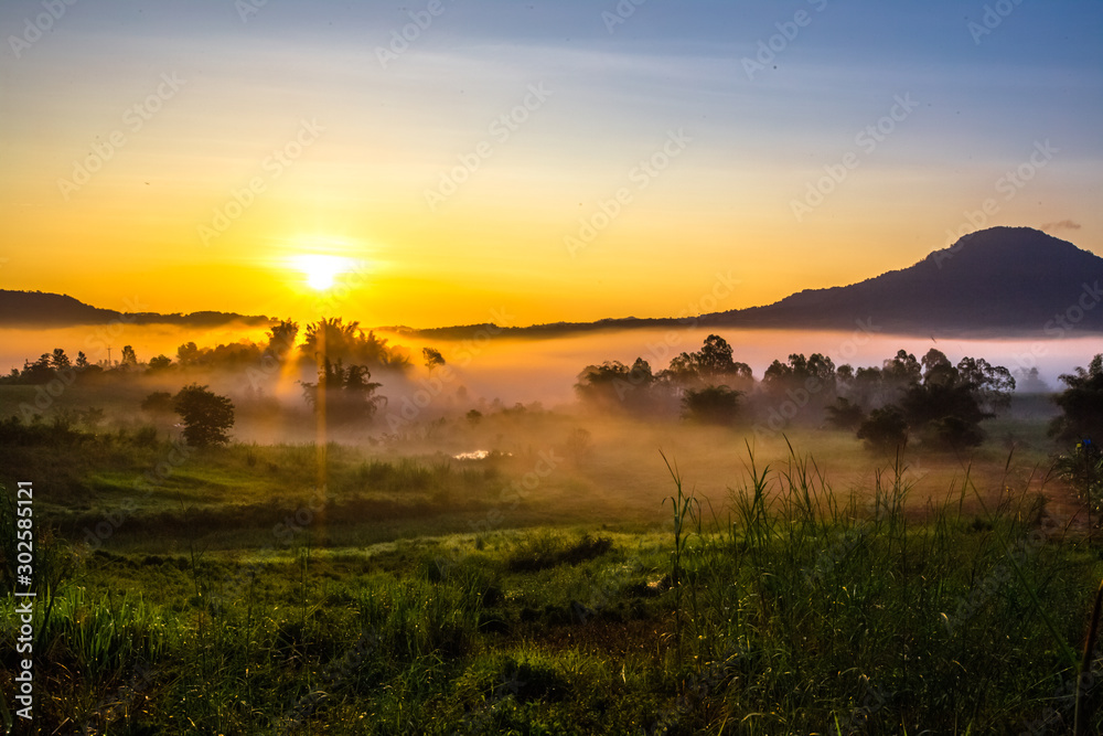 The blurry background of the fog that covers trees, roads, grass, in the morning is naturally beautiful, can be seen in the end of the rain, cold winter every year.