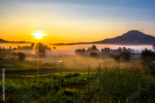 The blurry background of the fog that covers trees, roads, grass, in the morning is naturally beautiful, can be seen in the end of the rain, cold winter every year. © bangprik