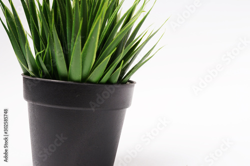 Decorative artificial plants on black pot - green grass - background