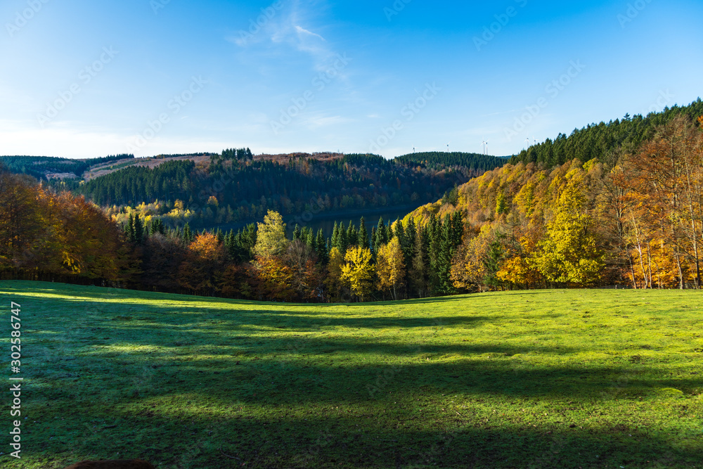 Greifvogelstation und Wildfreigehege Hellental Greifvogelstation und Wildfreigehege Hellental