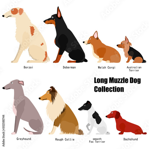 long muzzle dog collection